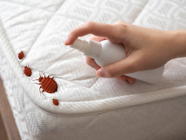 Professional Pest Control in Northfield, IL