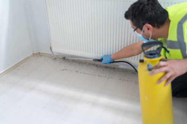 Best Rat Extermination Near Me  in Northfield, IL
